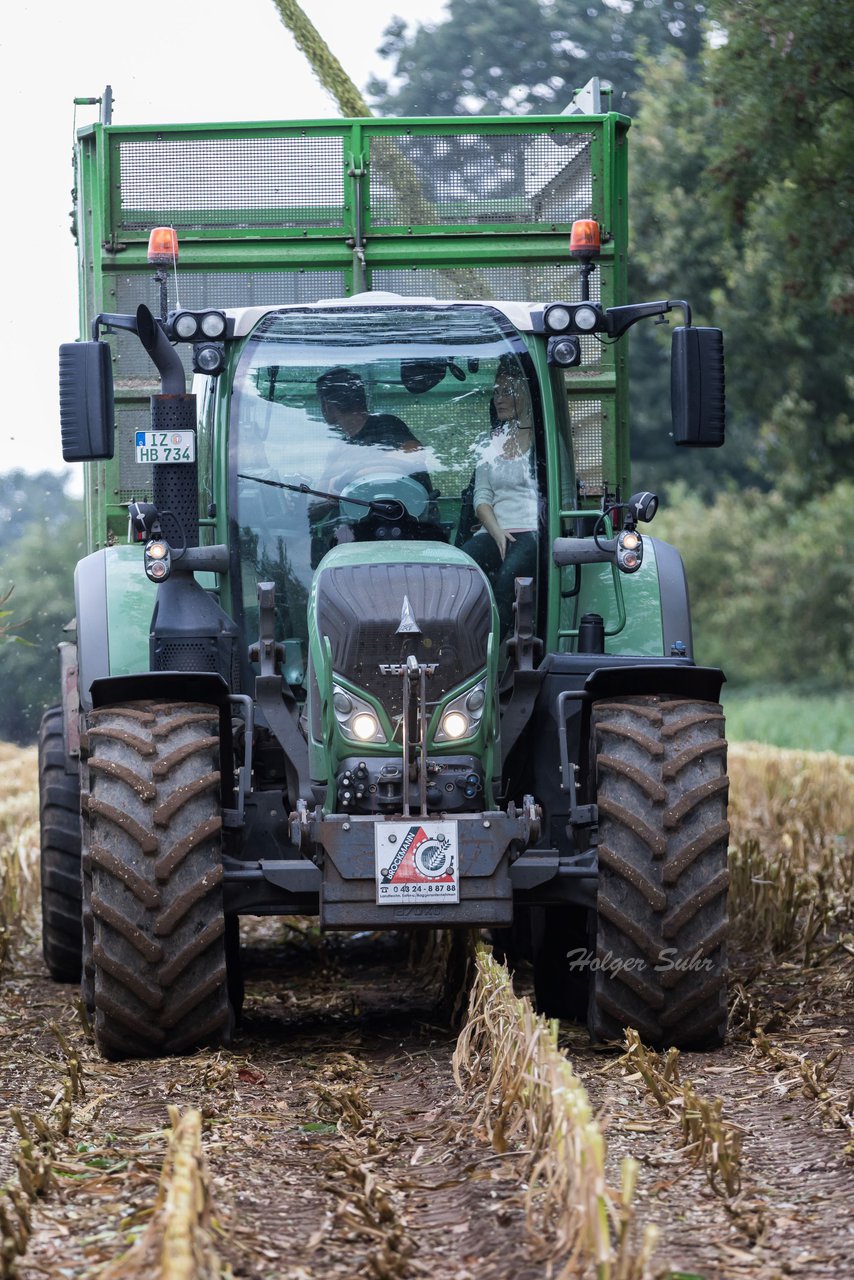 Bild 204 - Maisernte